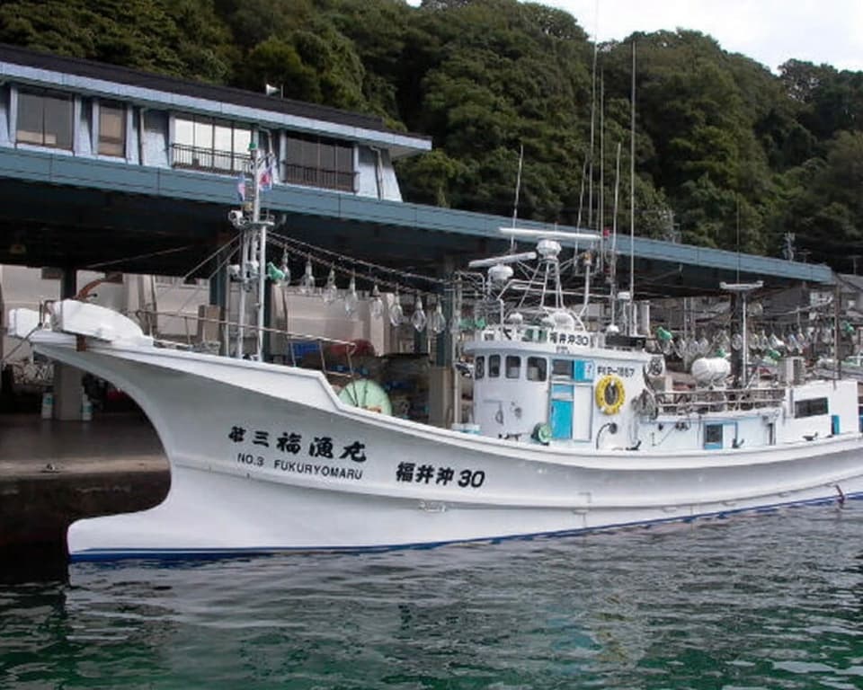 ホタルイカ素干し　化学調味料・保存料不使用