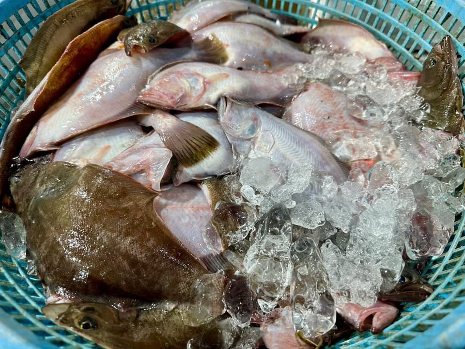 越前漁師カレイ漬け　新鮮加工　化学調味料・保存料不使用