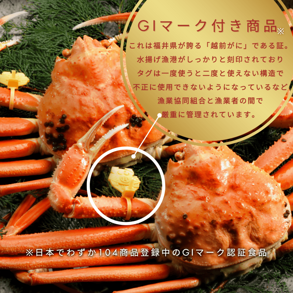 【送料無料】越前がに　産地直送　黄タグ付き　GIマーク　正規取扱認定店