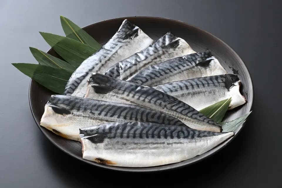 骨取り一夜干し鯖　半身　無添加　保存料不使用　