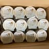 【定期購入】 【定期便】カップ12個