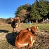 サムネイル 15