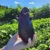 サムネイル 6