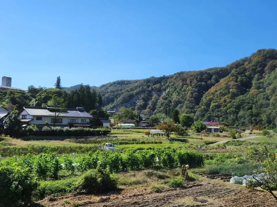 信州の朝霧と寒暖差が育てた　とれたて旬の野菜セット【農薬・化学肥料不使用】（現在は初夏の野菜セット♪）