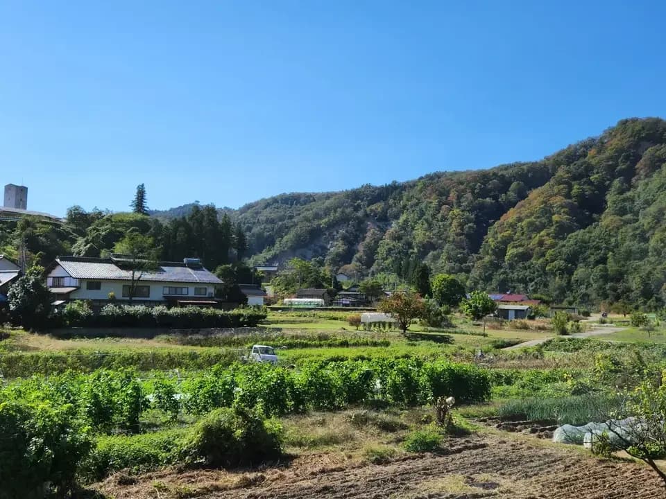 【お中元・夏ギフト】信州の朝霧と寒暖差が育てた　朝採れ旬野菜セット（熨斗対応可）〈農薬・化学肥料不使用〉
