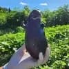 サムネイル 9