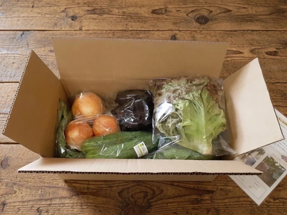 【お中元・夏ギフト】信州の朝霧と寒暖差が育てた　朝採れ旬野菜セット（熨斗対応可）〈農薬・化学肥料不使用〉