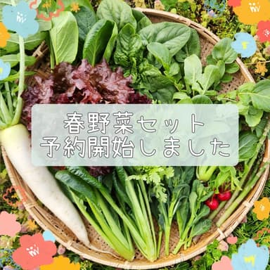 春野菜セット第2弾🌸予約受付開始しました！