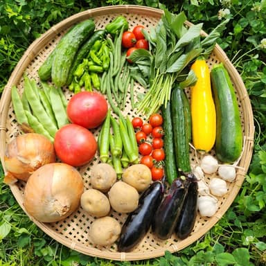 旨みと栄養がたっぷり詰まった夏野菜セットを販売中です！