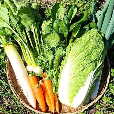 信州　鍋用野菜セット発売中です❗❗