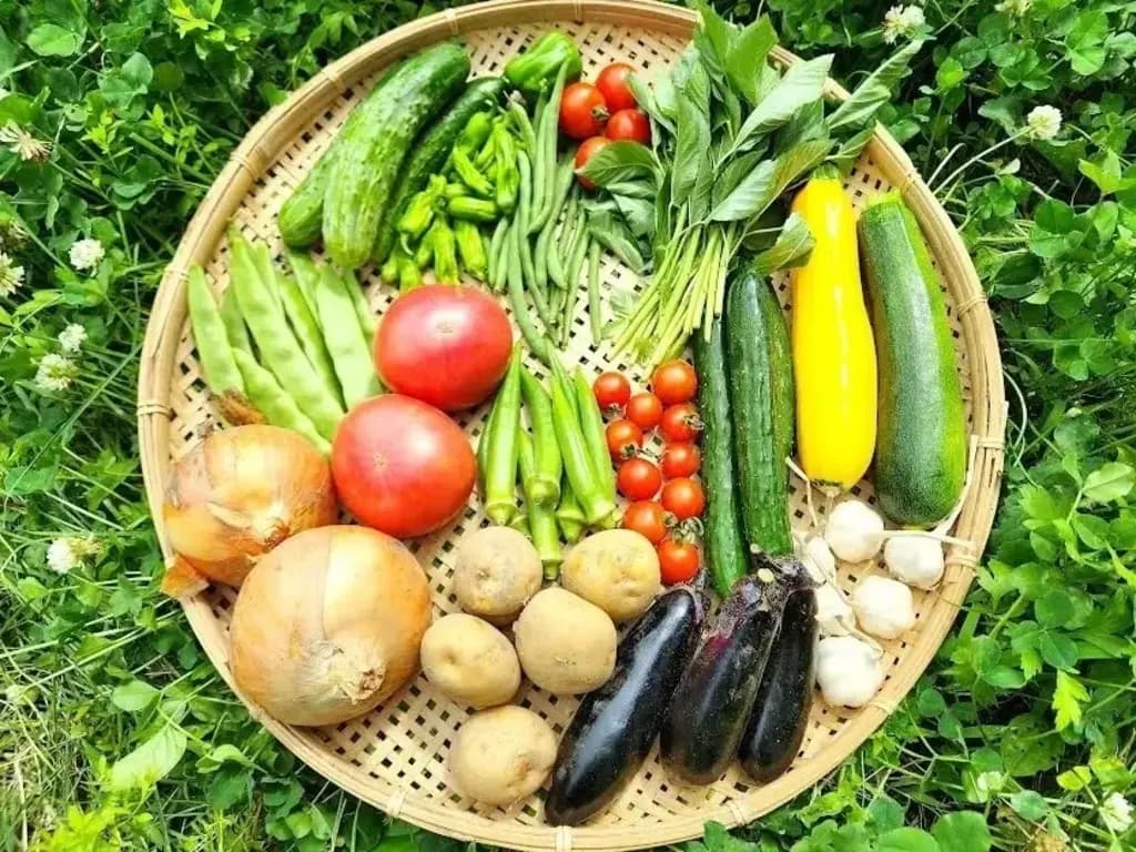 🌞夏野菜セット販売スタート！🍅 - たべるとくらすと