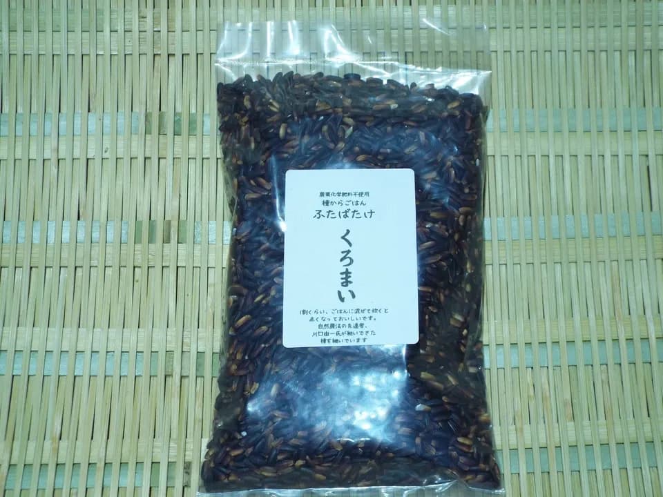 農薬・動物性肥料不使用ではざかけ天日干し＜種継ぎ黒米/朝紫＞古代からの味わい香り高くもちもち食感