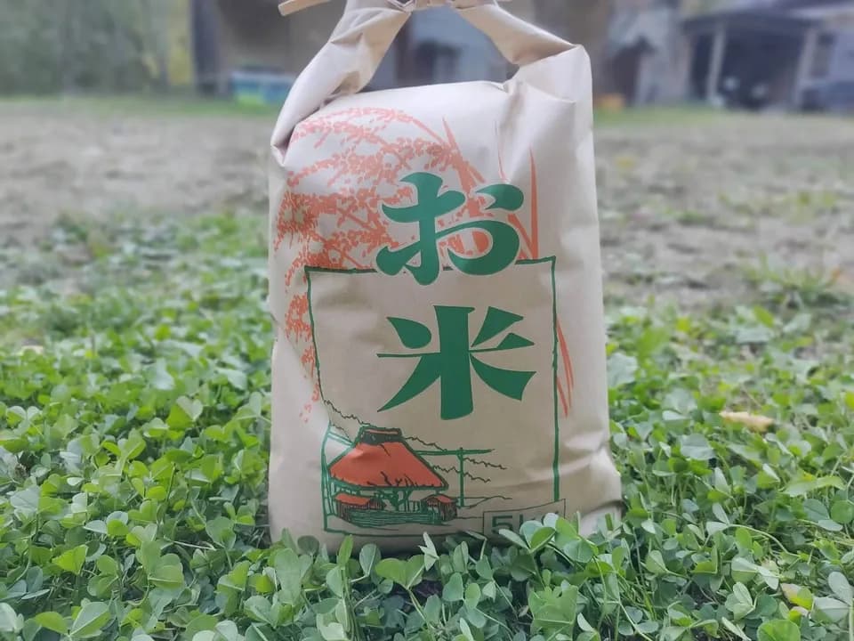 農薬・化学肥料不使用＜はざかけ天日米コシヒカリ＞アルプスの雪解け水や自然が育む深い旨味と甘味でおにぎりやお弁当に◎