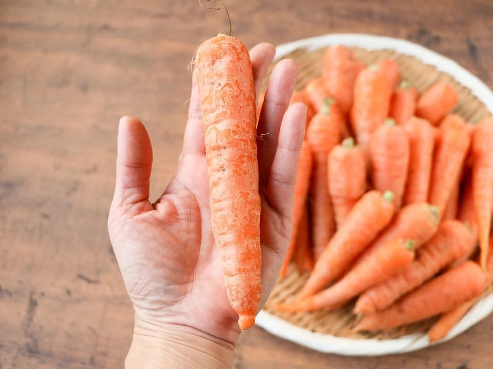 固定種にこだわった甘みの強い＜人参＞農薬・化学肥料・動物性肥料不使用