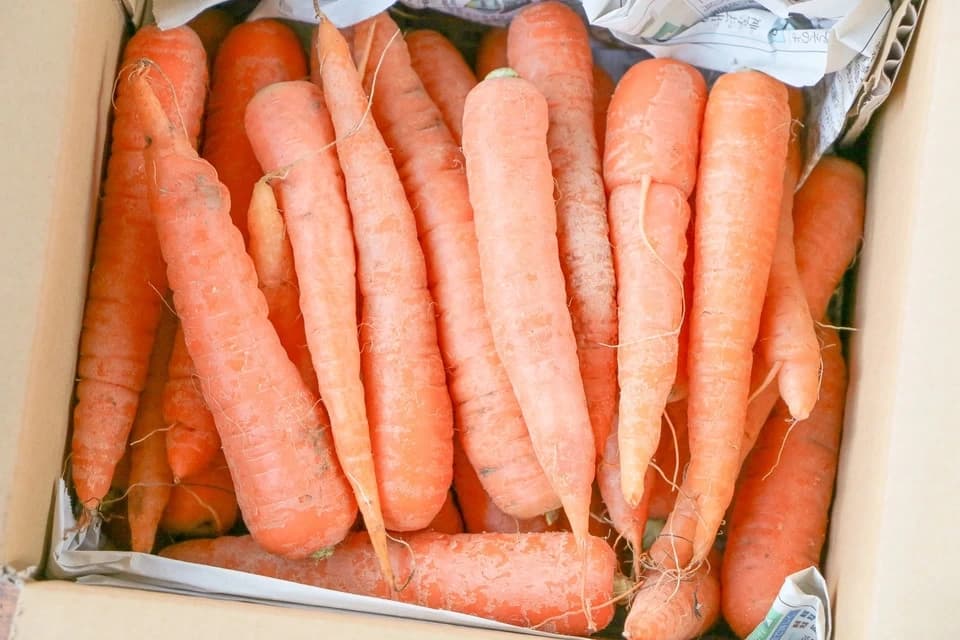 固定種にこだわった甘みの強い＜人参＞農薬・化学肥料・動物性肥料不使用