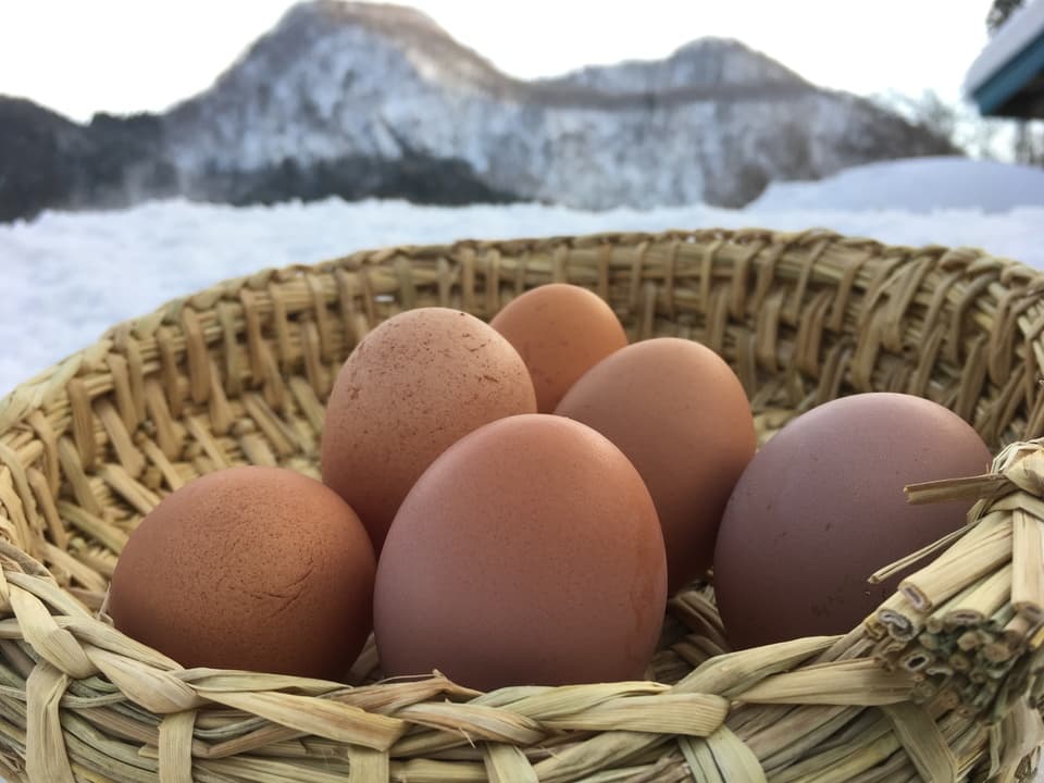 平飼いたまご（有精卵）