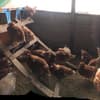 サムネイル 3