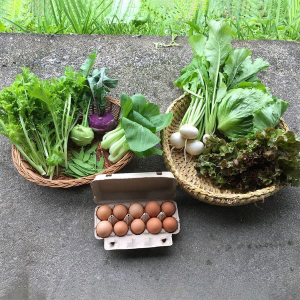 旬野菜と平飼い有精卵のセット