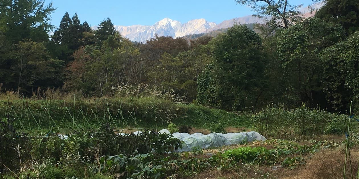 ふたつき農園ロゴ
