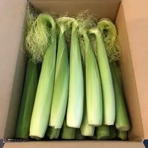 【ご予約受付中】新鮮！採れたその日に即発送！甘くてジューシー皮付きヤングコーン（農薬・化学肥料不使用）のレビュー
