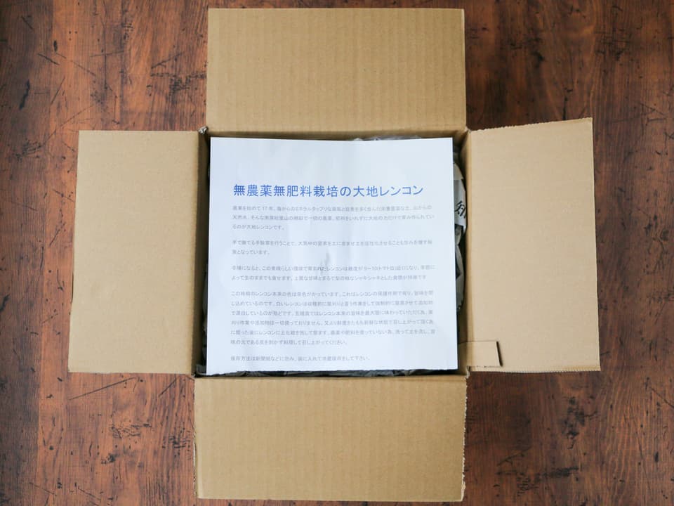 無農薬、無肥料の大地レンコン