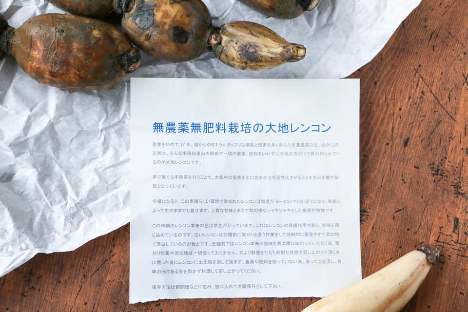 無農薬、無肥料の大地レンコン