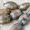 サムネイル 13