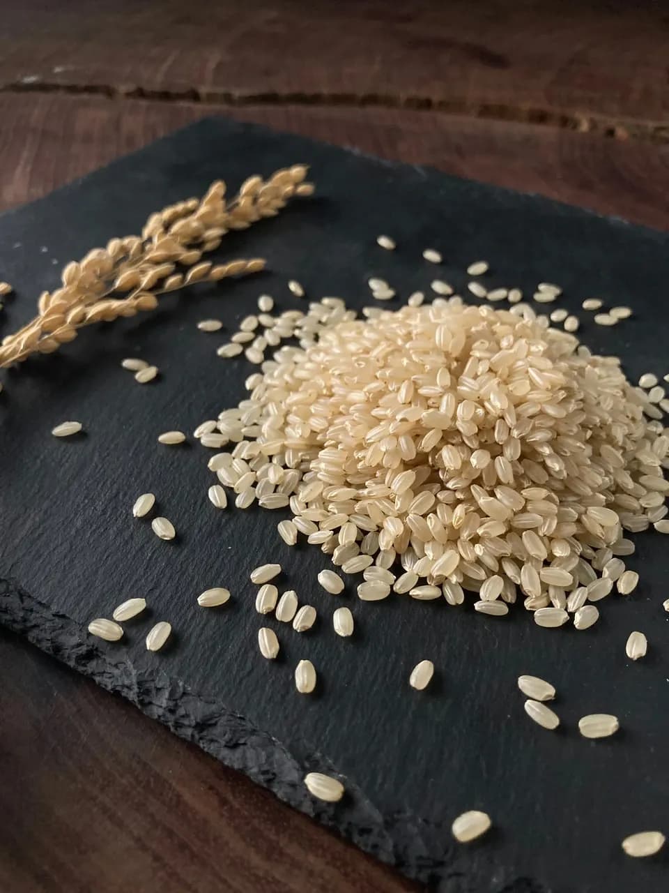 無農薬、無肥料で作る日本最高級玄米「薬寿米」