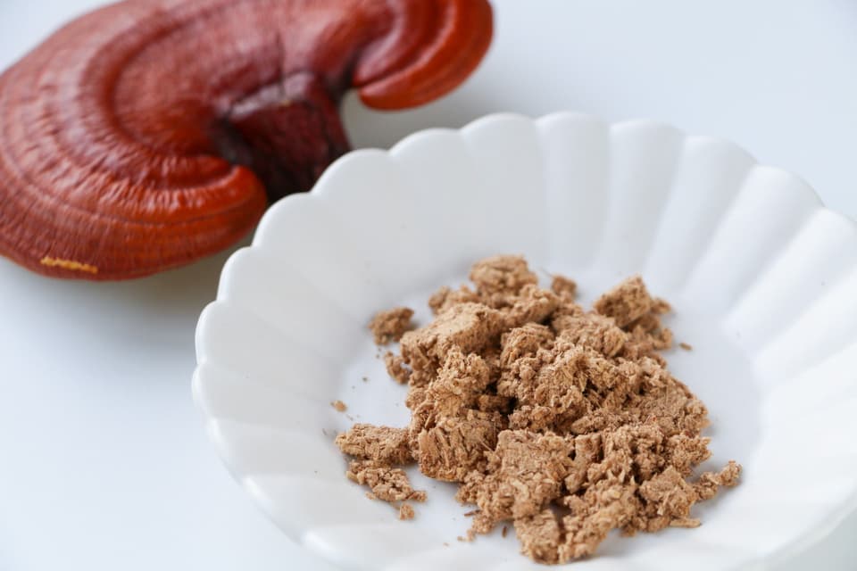 ＜REISHI  COFFEE＞国産無農薬原木栽培の霊芝入り有機栽培の珈琲
