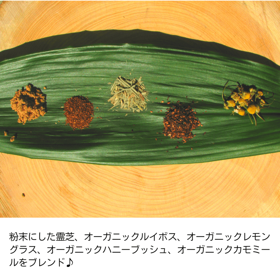 〈REISHI HERB TEA〉国産無農薬原木栽培霊芝入りハーブティー