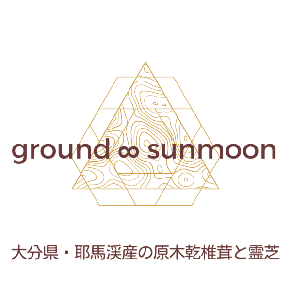 ground∞sunmoonロゴ