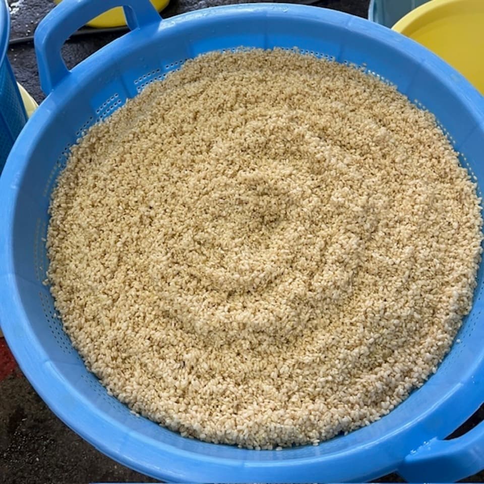 栄養満点＜玄米麹（生麹）＞大分県宇佐市産の自然栽培のお米で手作り製法