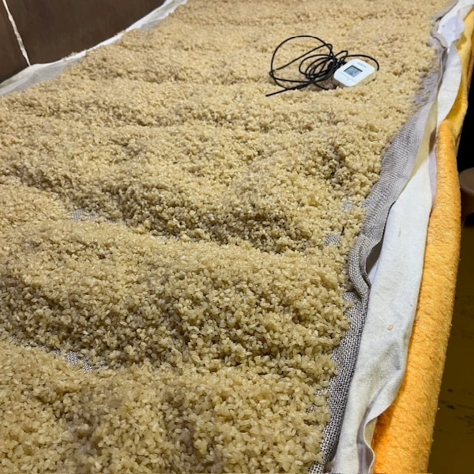 栄養満点＜玄米麹（生麹）＞大分県宇佐市産の自然栽培のお米で手作り製法