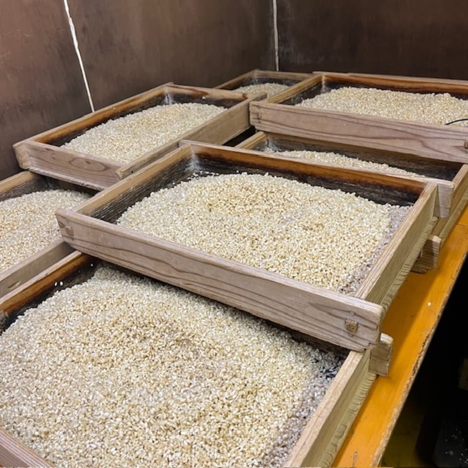 栄養満点＜玄米麹（生麹）＞大分県宇佐市産の自然栽培のお米で手作り製法