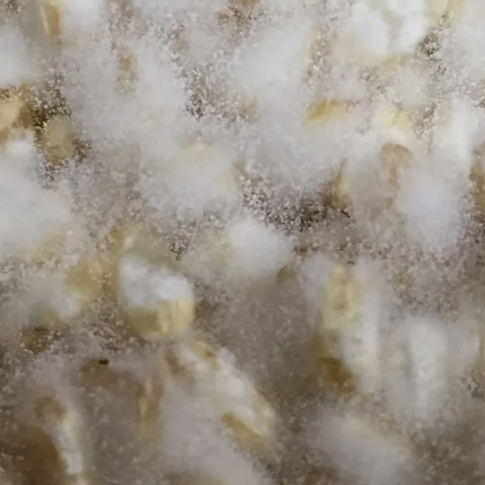 限定醸造＜やさしいMISO 稔（玄米仕立て）＞米作りから携わっている自然栽培の原材料使用
