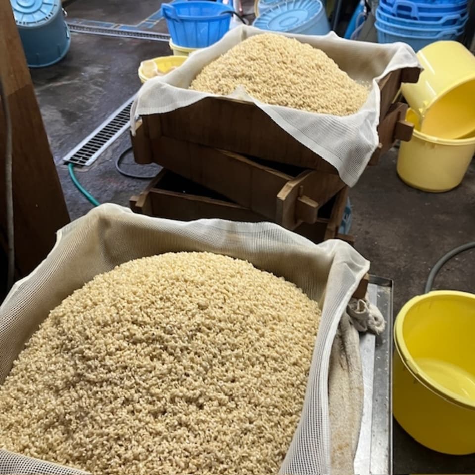 限定醸造＜やさしいMISO 稔（玄米仕立て）＞米作りから携わっている自然栽培の原材料使用
