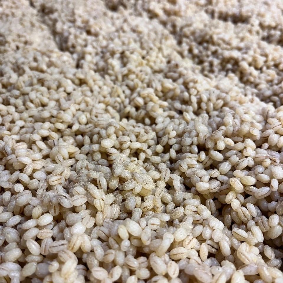 大麦キラリモチの麹で作る＜手造り もろみみそ＞自然栽培の大麦キラリモチの麹を使い甘辛く味付け
