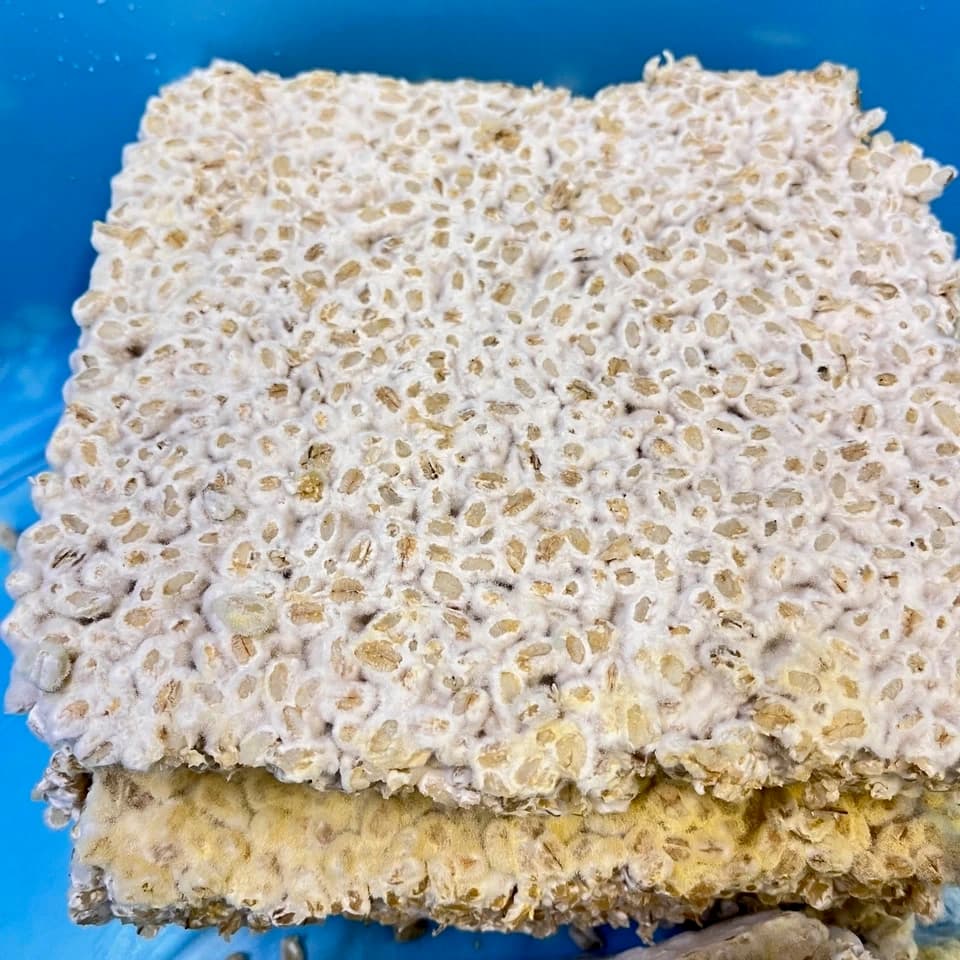 大麦キラリモチの麹で作る＜手造り もろみみそ＞自然栽培の大麦キラリモチの麹を使い甘辛く味付け