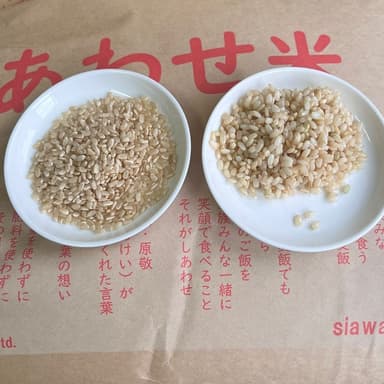 発芽玄米麹はじめました！数量限定です