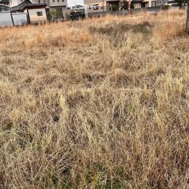 農繁期に伴う出荷曜日限定について