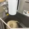 サムネイル 2