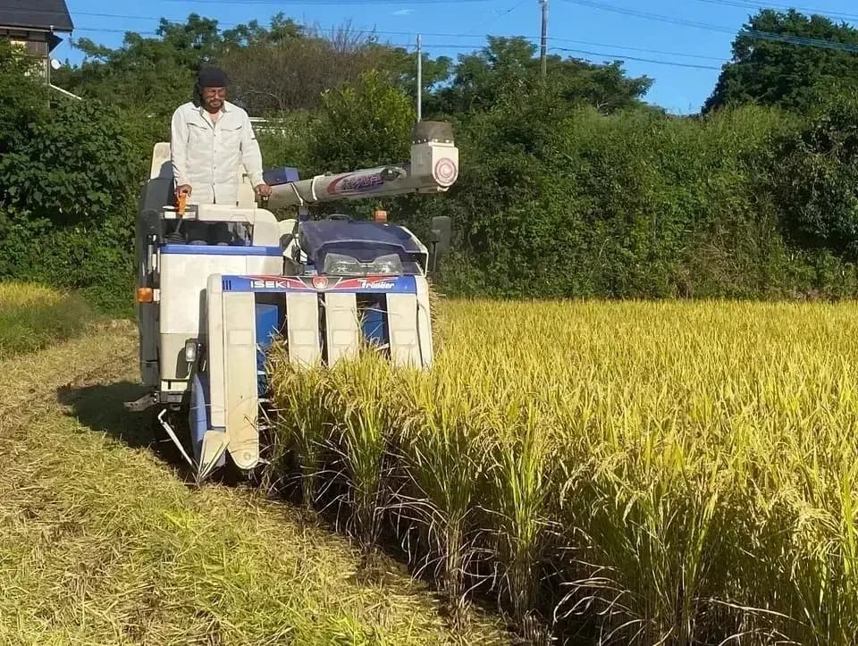 令和7年度産米｜＜森のくまさん＞熊本の地で自然栽培 八十八夜 (熊本県