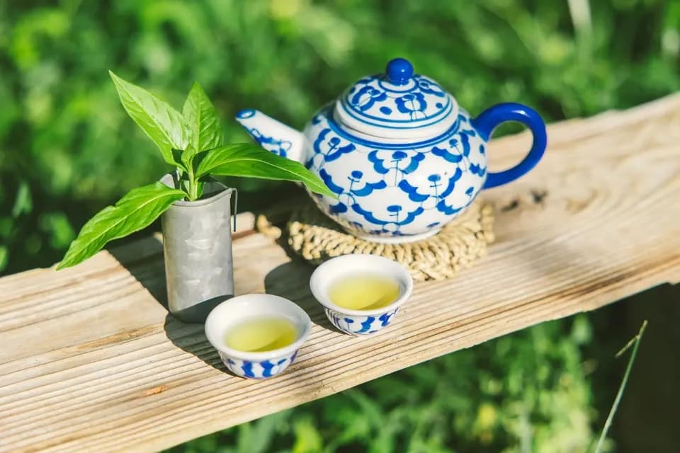 手しごとのお茶　藍の葉茶