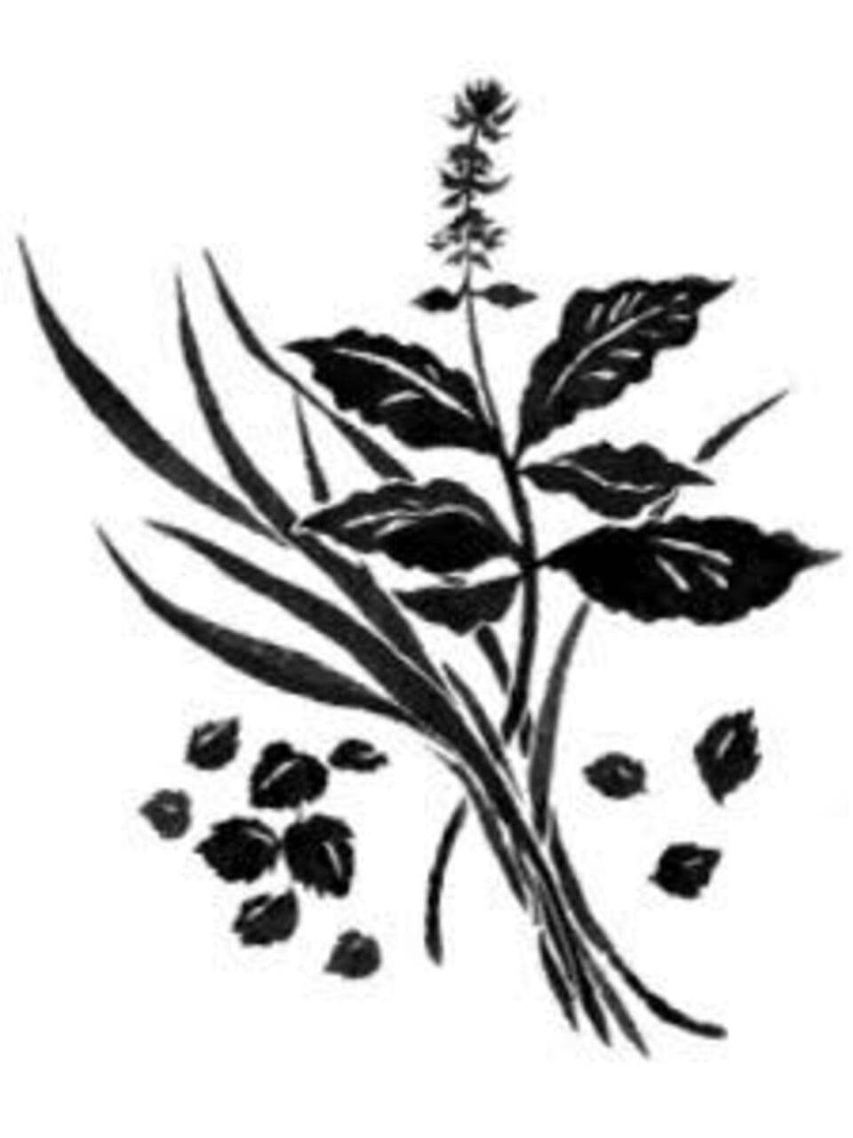 手しごとのお茶　ハイチャイブレンド茶