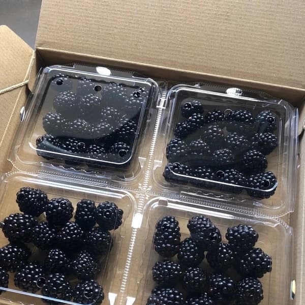 100g✖️4パック