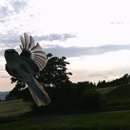はじめまして