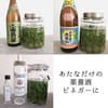 サムネイル 1