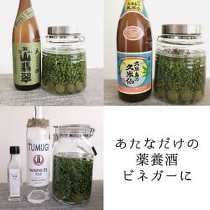 自然栽培★瞬冷凍★うまぶどう・野ぶどう果実【冷凍】