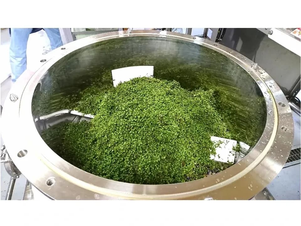 自然栽培★酵素が生きてる！ウマブドウ茶★お湯だし3分＆煮出しもOK! 独自の特殊加工を是非！！野ぶどう茶