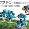 サムネイル 7